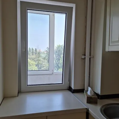 Studio Anuca Apartment *