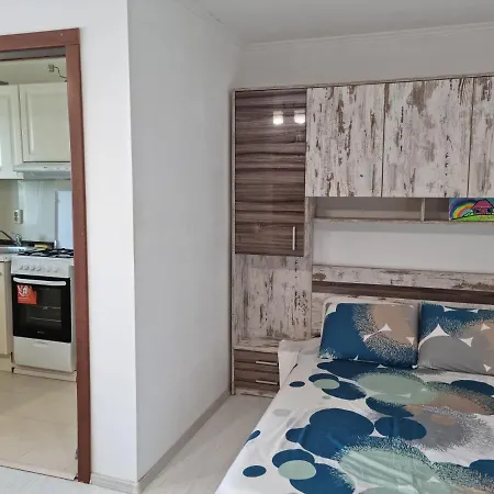 Apartment Studio Anuca *